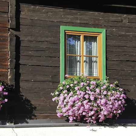 Sauschneiderhof Apartman Mariapfarr